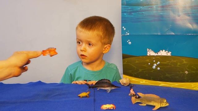 Морские Твари Жители Морей и Океанов  Ядовитые Рыбы и Мурена Растущая Рыба