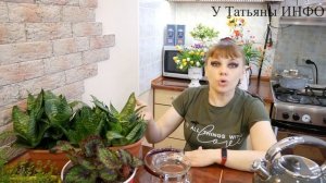 ДЛЯ КОМНАТНЫХ РАСТЕНИЙ / Луковая шелуха – супер удобрения и средство борьбы с вредителями.