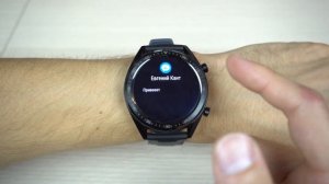 HUAWEI WATCH GT Вся ПРАВДА о Смарт-часах!