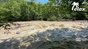 The Sound of a Mountain river During a Flood