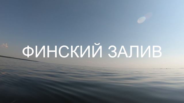 Финский залив