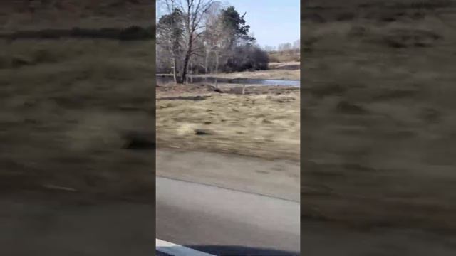 2 часть поездки в Нарву