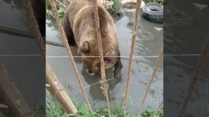 22.08.23. эквилибр во время рыбалки от #машахулиганяша