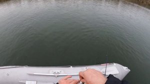 Рыбалка на хищника в Семикаракорски!