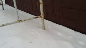 Монтаж сайдинга в зимний период & Монтируем сайдинг зимой. Часть 2 [Дом и К]