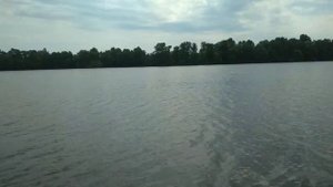 РЫБАЛКА МЕЧТЫ!!!,карп,бешеный клёв в Завидовке(с.Подымовка), Белгородская область,11.08.2021