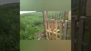 забор из поддонов ч2 нижний ряд