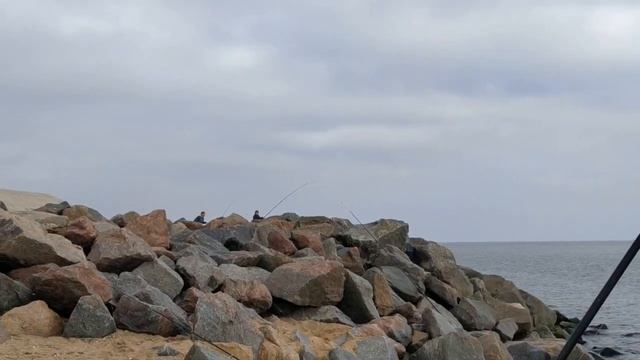 Морская рыбалка. Ловля камбалы  с берега. Камбала калкан. Catching flounders from the shore.