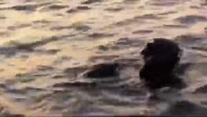 Eyes Open 1_8.4kaz Extreme fishing