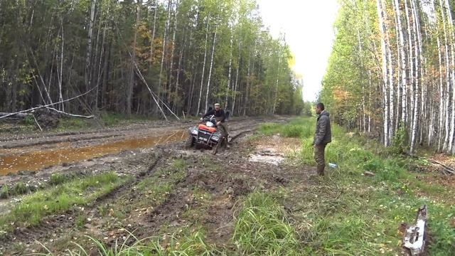 Лечебная грязь