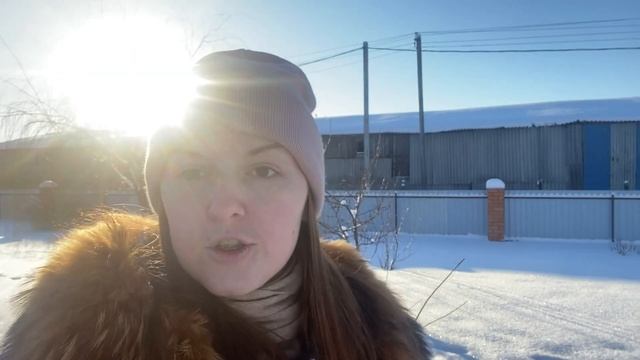 Стоит ли брать мясояичных курей породы Амрокс????