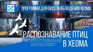 Распознавание птиц для аэропорта. Искусственный интеллект в Xeoma.