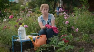 Ваша клубника сохнет? Вырастим здоровые кусты из усов