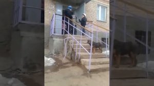 Пацан орет на весь двор