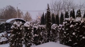 НАРЯЖАЕМ ЕЛКУ И УКРАШАЕМ КУХНЮ К НОВОМУ ГОДУ 2022