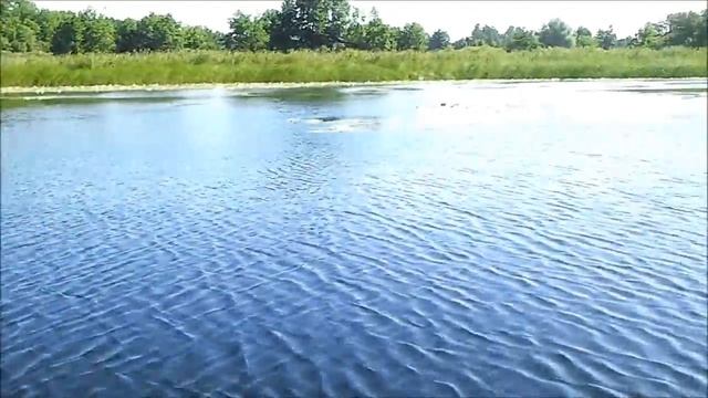 Битюг смотреть онлайн