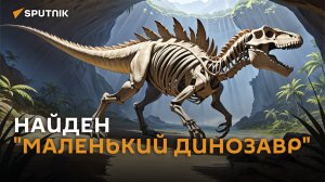 Останки нового вида динозавров показали палеонтологи