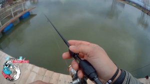 Крупная форель на резину Boroda baits