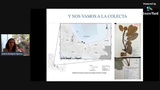 Seminario Jardín Botánico 8 de junio 2020 смотреть онлайн