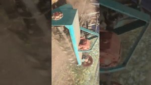 Самодельный Кир на Мини Трактор