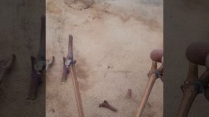 Какой мороз, выдерживает лоза Винограда ?