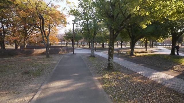 4K・ Прогулка по Тама с полётом смотреть онлайн