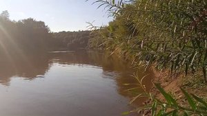 Река Днепр в Смоленском районе...