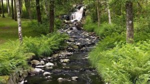 Елена Альтергот - Вербный Ключ