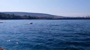 Прогулка на катере Затонувший корабль Феодосийская бухта Ильинский маяк