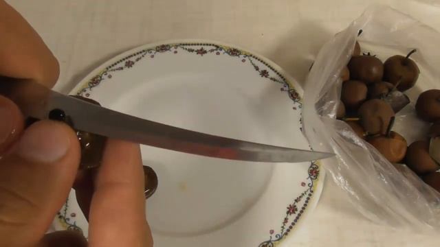 Подвой груши дички. Сбор семян дикой груши смотреть онлайн