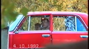 Великая Губа