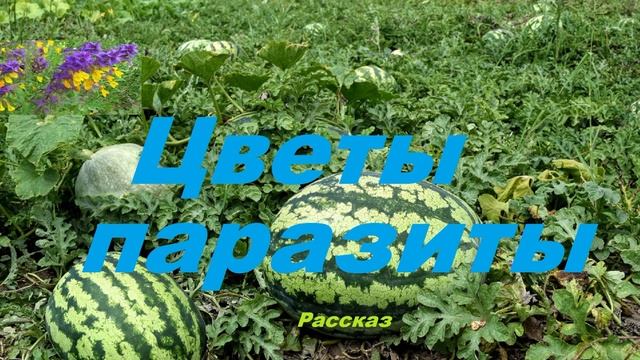 Цветы-паразиты.. (рассказ)