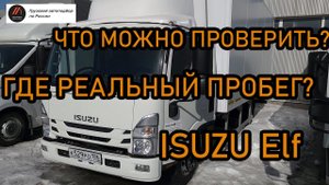 Что можно проверить перед покупкой? Подбор Isuzu Elf (NPR, NLR, NQR)  - Грузовой автоподбор Мазая