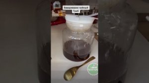 Готовим заварку, для чайного Гриба! Как правильно это сделать .