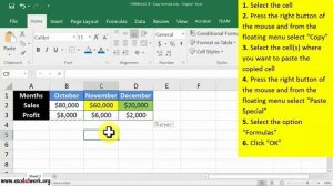 Copy formula only - Learn Excel Fast - Excel 2016