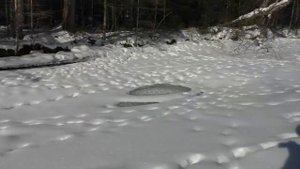 Хинганские Увалы. Часть 2 зимняя  По руслу Хингана