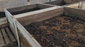 Посещение фермы по производству биогумуса.