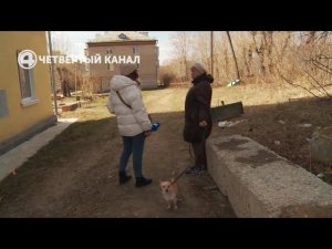 В спецшколе 124 в Екатеринбурге подростков заставляли насиловать детей? Кто это остановит