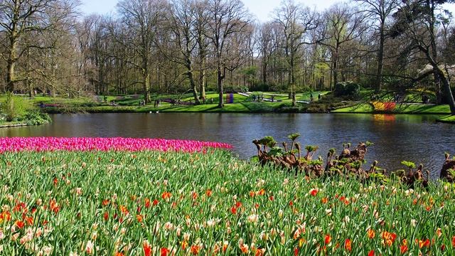 ВЕСНА !!! смотреть онлайн