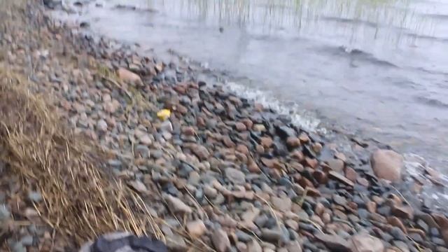 Судаки!!! Три дня рыбалки на Онежском озере. #капитанандрейфёдоров #видеоорыбалке #судаки