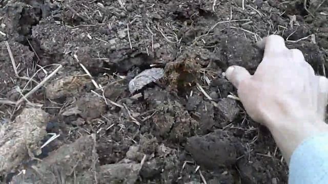 ♕Дробилка для Навоза из УШМ (болгарки). #NETELEVIZOR. DIY. смотреть онлайн