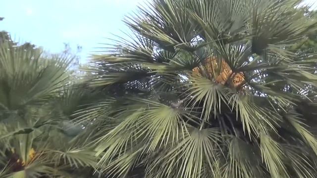 Сочи май 2016 смотреть онлайн