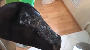 Вейдерсы Fisherman nova tour. Проклейка. Ремонт неопрена.