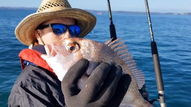 Рыбалка в Новой Зеландии. Снеппер. Рыбалка в океане. Новая Зеландия. смотреть онлайн