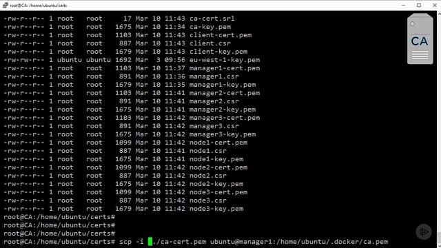 Native Docker Clustering - Installing Certificates to Secure Swarm Cluster смотреть онлайн