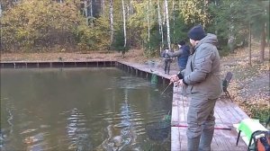 Начинают преобладать рыжие тона. Клёвое место, Лосиный остров, спорт-зона.