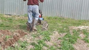 Мотоблок Нева на гусеницах ПГ-1