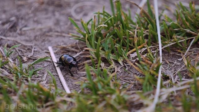 Сергей Болсун - Медитация в движении смотреть онлайн