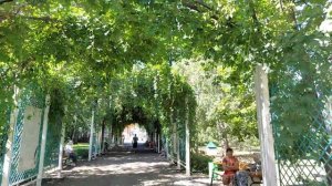 г. Саранск (Мордовия). Прогулка по городу и парку им. Пушкина. 13 августа 2022 г.