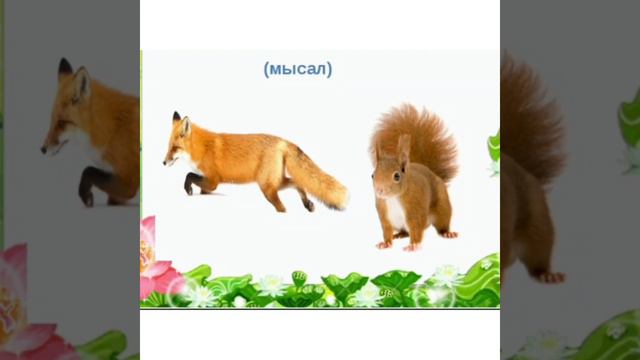 2-сынып ашык сабак смотреть онлайн